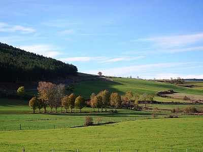 Automne_allenc (12)